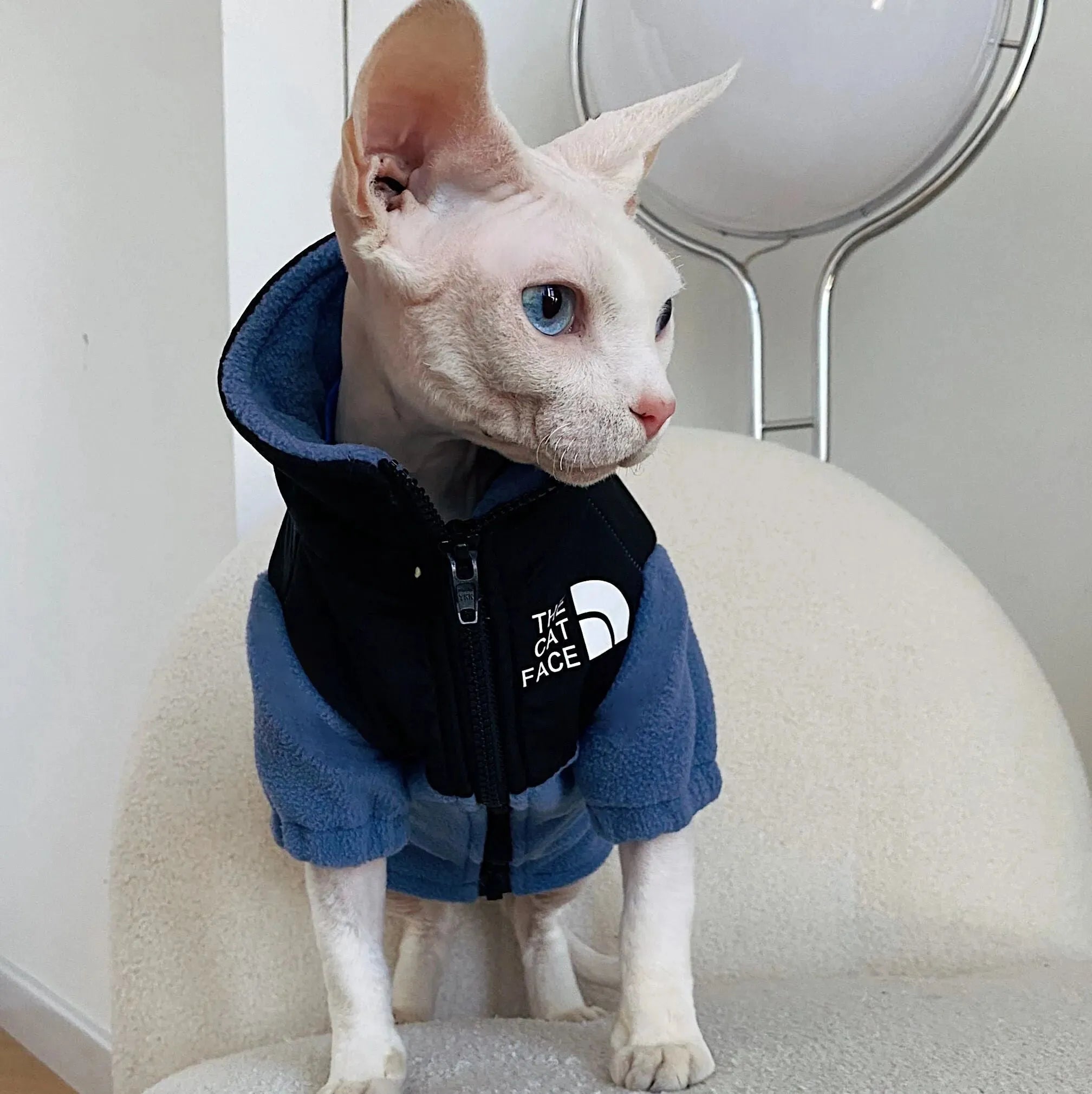 Hairless Cat Clothes Warm Pet Cat Clothes - Bellarte Enchanté Hairless Cat Clothes Warm Pet Cat Clothes